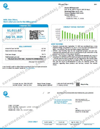 USA FPL utility bill template in Word and PDF formats, version 4